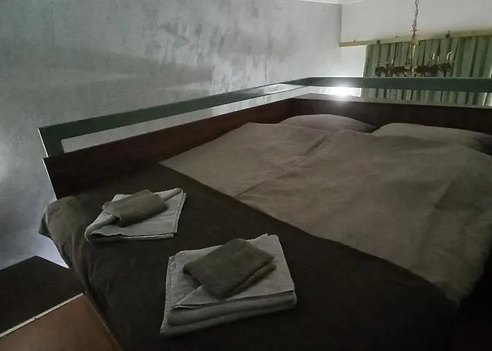 Cabin-style 公寓 *